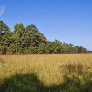 Photo #13 of 1738 Laurel Mill-centerville, Louisburg, NC 15.8 acres
