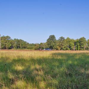 Photo #20 of 1738 Laurel Mill-centerville, Louisburg, NC 15.8 acres