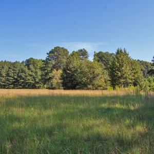 Photo #15 of 1738 Laurel Mill-centerville, Louisburg, NC 15.8 acres