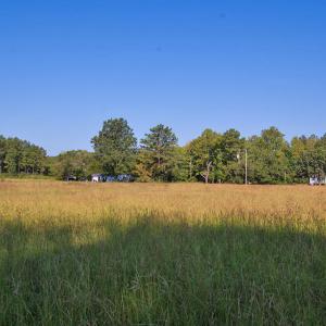 Photo #21 of 1738 Laurel Mill-centerville, Louisburg, NC 15.8 acres
