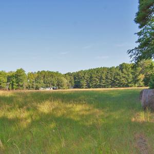 Photo #6 of 1738 Laurel Mill-centerville, Louisburg, NC 15.8 acres