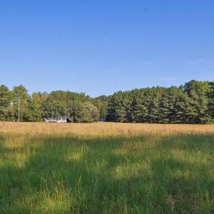 Photo #4 of 1738 Laurel Mill-centerville, Louisburg, NC 15.8 acres