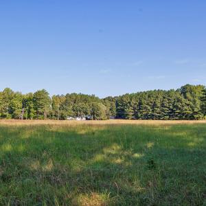 Photo #18 of 1738 Laurel Mill-centerville, Louisburg, NC 15.8 acres