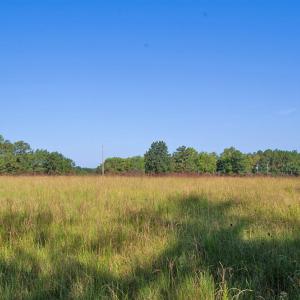 Photo #3 of 1738 Laurel Mill-centerville, Louisburg, NC 15.8 acres