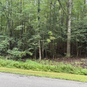 Photo #2 of 118 Souix, Louisburg, NC 0.4 acres