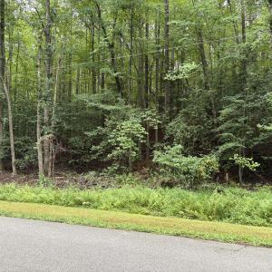 Photo #1 of 118 Souix, Louisburg, NC 0.4 acres