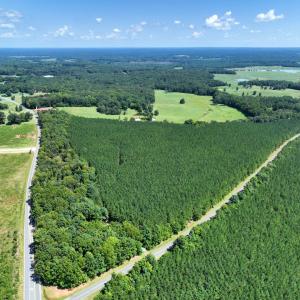 Photo #4 of 4093 Nc Highway 42, Goldston, NC 13.9 acres