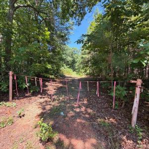 Photo #23 of 4093 Nc Highway 42, Goldston, NC 13.9 acres