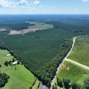Photo #16 of 4093 Nc Highway 42, Goldston, NC 13.9 acres