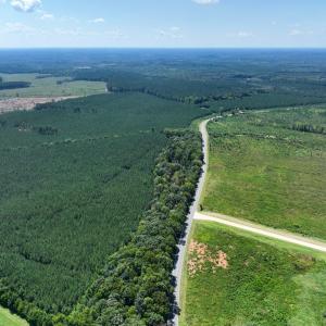 Photo #17 of 4093 Nc Highway 42, Goldston, NC 13.9 acres