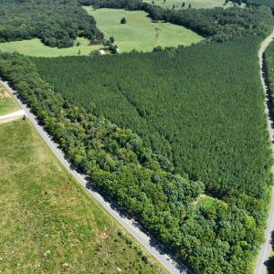 Photo #11 of 4093 Nc Highway 42, Goldston, NC 13.9 acres
