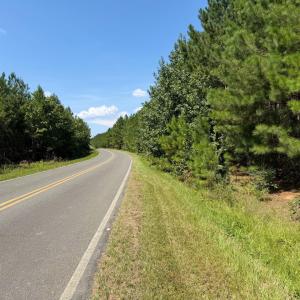 Photo #18 of 4093 Nc Highway 42, Goldston, NC 13.9 acres