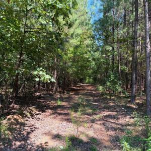 Photo #24 of 4093 Nc Highway 42, Goldston, NC 13.9 acres