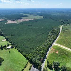 Photo #14 of 4093 Nc Highway 42, Goldston, NC 13.9 acres