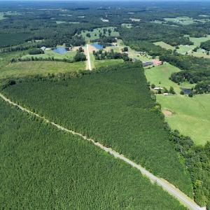 Photo #5 of Lot 2 Hwy 42, Goldston, NC 13.9 acres