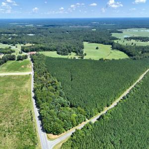 Photo #10 of Lot 2 Hwy 42, Goldston, NC 13.9 acres