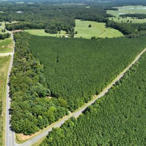 Photo #3 of Lot 2 Hwy 42, Goldston, NC 13.9 acres
