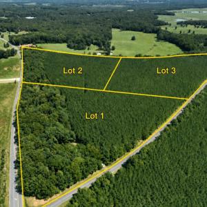 Photo #2 of Lot 2 Hwy 42, Goldston, NC 13.9 acres