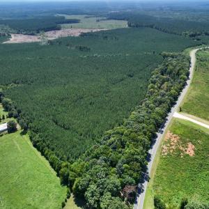 Photo #13 of Lot 2 Hwy 42, Goldston, NC 13.9 acres