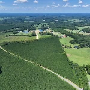 Photo #6 of Lot 2 Hwy 42, Goldston, NC 13.9 acres