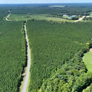 Photo #8 of Lot 2 Hwy 42, Goldston, NC 13.9 acres