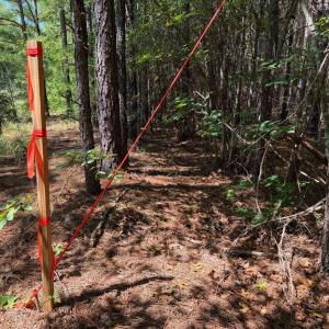 Photo #22 of Lot 2 Hwy 42, Goldston, NC 13.9 acres
