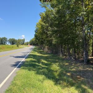 Photo #25 of Lot 2 Hwy 42, Goldston, NC 13.9 acres