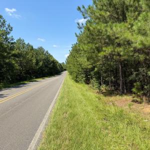 Photo #19 of Lot 2 Hwy 42, Goldston, NC 13.9 acres