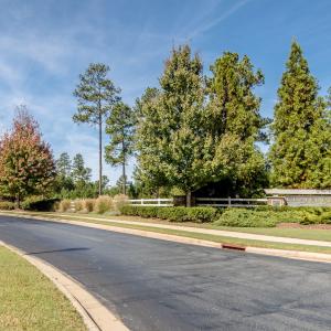 Photo #10 of 130 Bur Oak, Pittsboro, NC 0.5 acres
