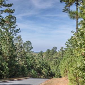 Photo #21 of 130 Bur Oak, Pittsboro, NC 0.5 acres