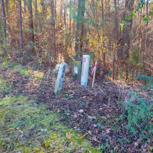 Photo #70 of 130 Bur Oak, Pittsboro, NC 0.5 acres