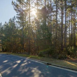 Photo #73 of 130 Bur Oak, Pittsboro, NC 0.5 acres