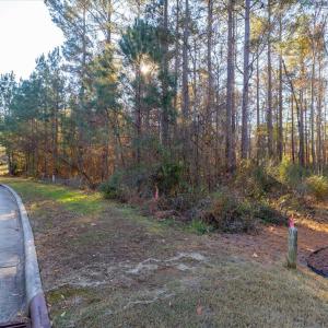 Photo #68 of 130 Bur Oak, Pittsboro, NC 0.5 acres