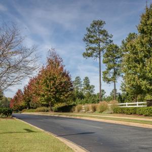 Photo #11 of 130 Bur Oak, Pittsboro, NC 0.5 acres