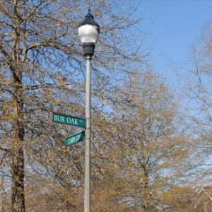 Photo #76 of 130 Bur Oak, Pittsboro, NC 0.5 acres