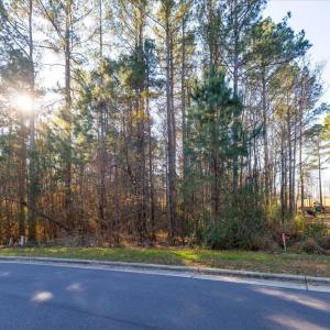 Photo #72 of 130 Bur Oak, Pittsboro, NC 0.5 acres