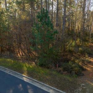 Photo #74 of 130 Bur Oak, Pittsboro, NC 0.5 acres