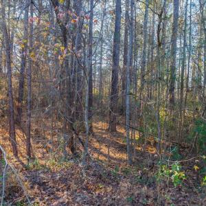 Photo #69 of 130 Bur Oak, Pittsboro, NC 0.5 acres