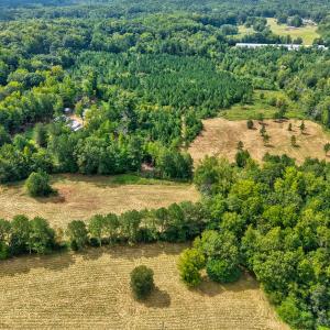 Photo #3 of D Hart Road, Siler City, NC 43.6 acres