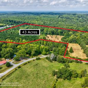 Photo #5 of D Hart Road, Siler City, NC 43.6 acres