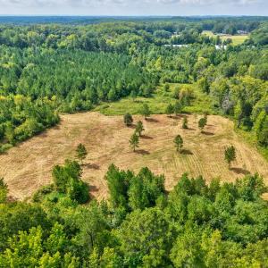 Photo #1 of D Hart Road, Siler City, NC 43.6 acres