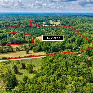 Photo #6 of D Hart Road, Siler City, NC 43.6 acres
