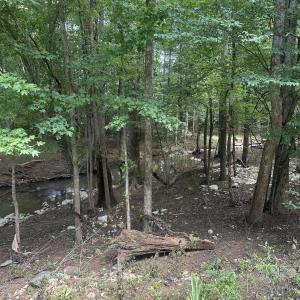 Photo #3 of Lot 1 Schley, Hillsborough, NC 5.1 acres
