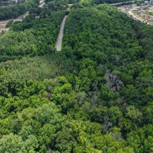 Photo #8 of Birchmere, Fayetteville, NC 11.9 acres