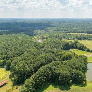 Photo #11 of 1262 Stallings Mill, Louisburg, NC 6.4 acres