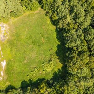Photo #8 of 1262 Stallings Mill, Louisburg, NC 6.4 acres