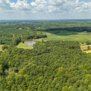 Photo #9 of 1262 Stallings Mill, Louisburg, NC 6.4 acres