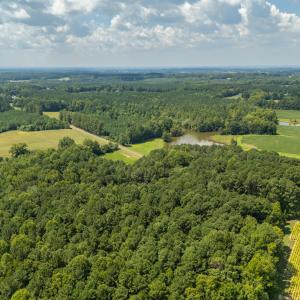 Photo #12 of 1262 Stallings Mill, Louisburg, NC 6.4 acres