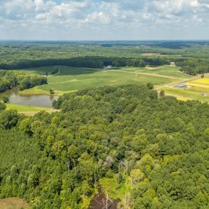 Photo #10 of 1262 Stallings Mill, Louisburg, NC 6.4 acres