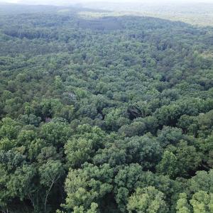 Photo #4 of Redgate, Pittsboro, NC 8.4 acres
